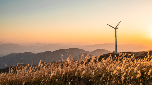 國務院和國家能源局發布兩重要文件、9月電網代理購電電價公布、近期地方光儲充/電力市場政策更新……